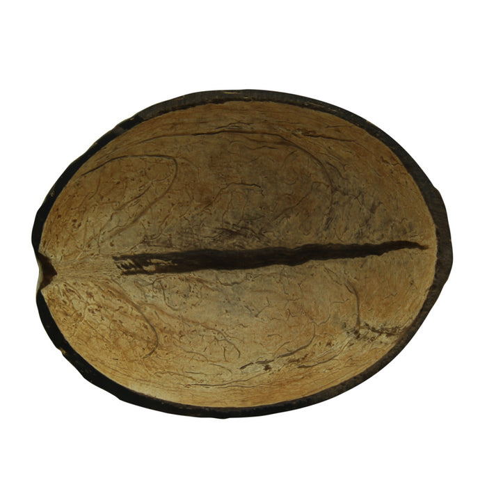 Cuencos de coco natural 140ml A50mm - 10Uds