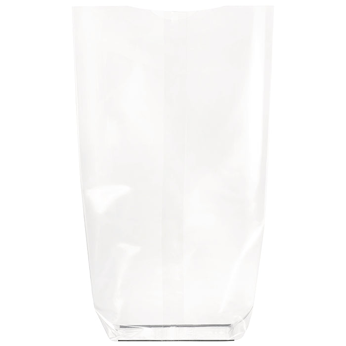 Bolsa transparente con base de cartón 120 A260mm - 100Uds