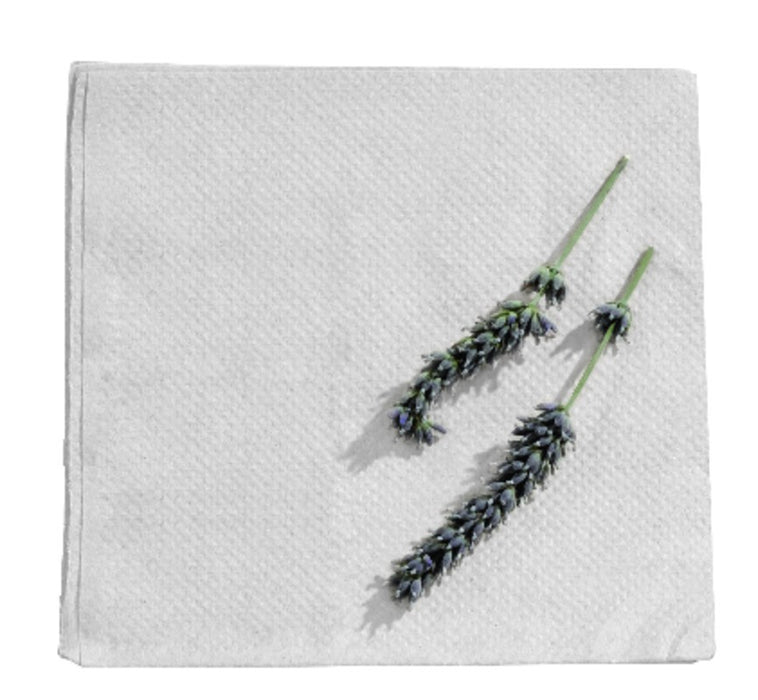 Servilleta de papel 2 capas 300x300mm - 100Uds