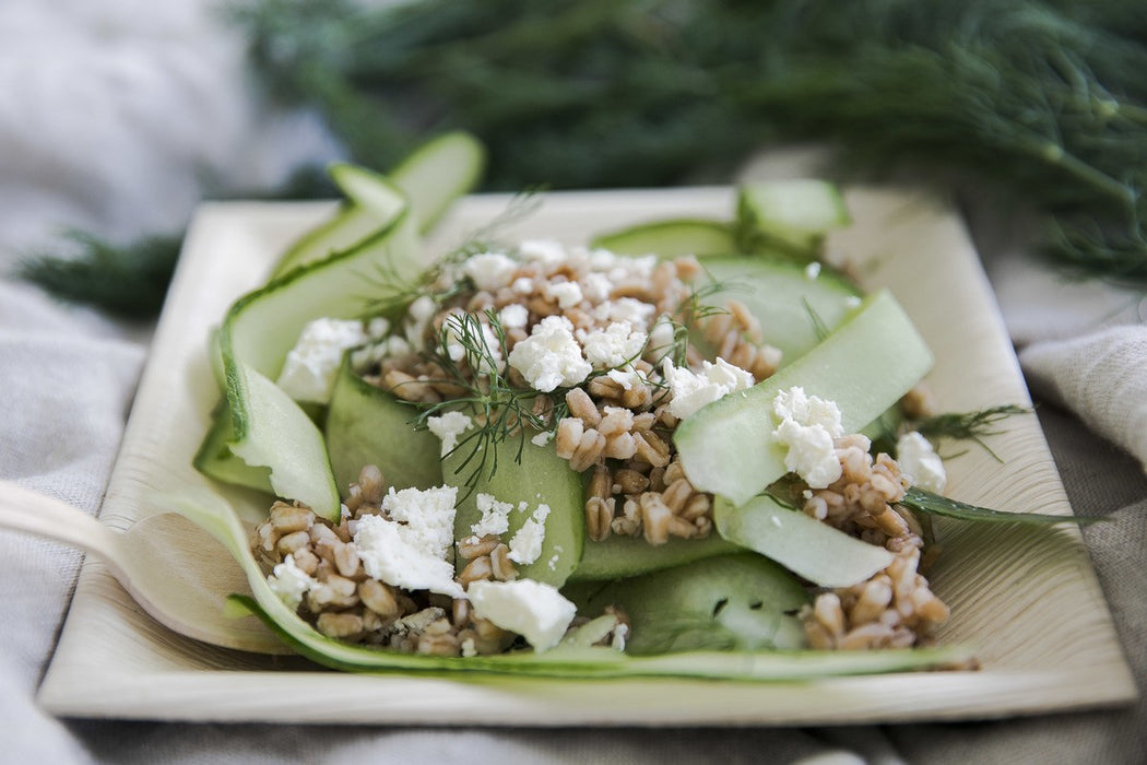 Plato rectangular de hoja de palmera 177x127mm A30mm - 25Uds