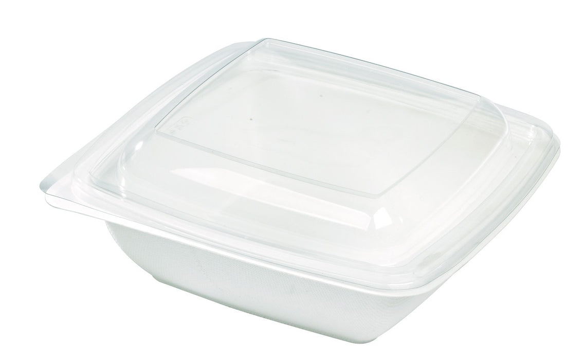 Ensaladera cuadrada de pulpa blanca 750ml 195x195mm A45mm - 30Uds