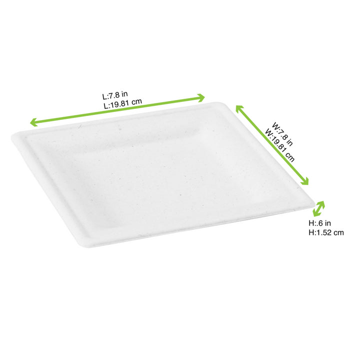 Plato blanco cuadrado a base de pulpa 200x200mm A12mm - 24Uds