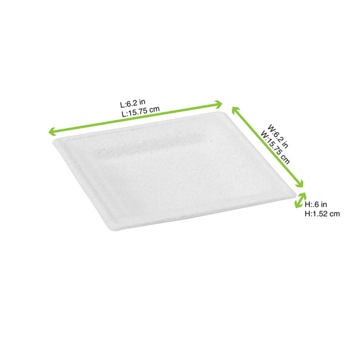 Plato blanco cuadrado de pulpa 160x160mm - 24Uds