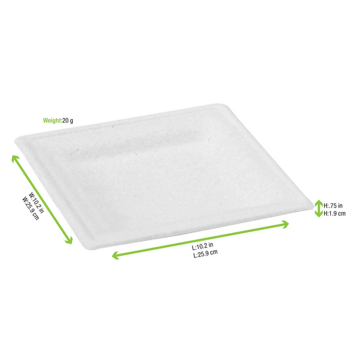 Plato blanco rectangular de pulpa. 260x260mm A20mm - 125Uds